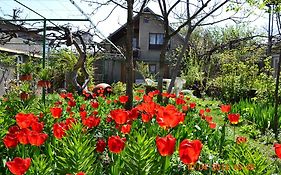 Milorava'S Guest House & Wine Cellar